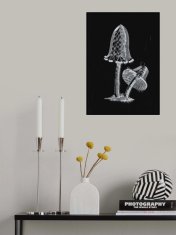 Pelcasa Vintage Inky Cap Edible Mushroom Dark Bw - 21x30 cm 