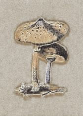 Pelcasa Hand Drawn Parasol Mushroom Brown - 21x30 cm 