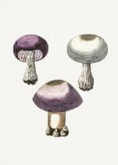 Pelcasa Hand Darwn Violet Webcap Mushroom - 50x70 cm 