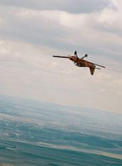 Allegria akrobatický let s letadlem Bulldog 30 min Roudnice nad Labem