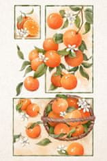 Pelcasa Orange Blossom - 50x70 cm 