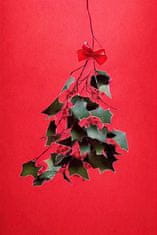 Pelcasa Mistletoe With Red Bow - 70x100 cm 