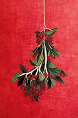 Pelcasa Painted Mistletoe - 21x30 cm 