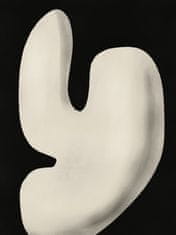 Pelcasa Abstract White Sculpture Y - 30x40 cm 