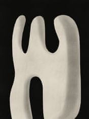 Pelcasa Abstract White Sculpture Scream - 50x70 cm 