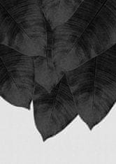 Pelcasa Banana Leaf Black Aamp White Iii - 70x100 cm 