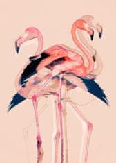 Pelcasa Flamingos Nr. 3 - 50x70 cm 