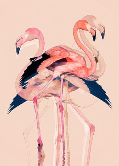 Pelcasa Flamingos Nr. 3 - 50x70 cm