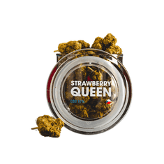 Kratom World CBD Strawberry Queen 10% 10g