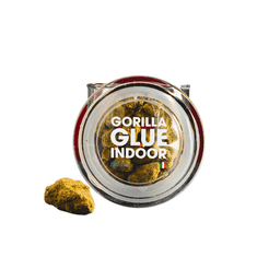 Kratom World CBD Indoor Gorilla Glue 15% 1g