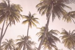 Pelcasa Blush Palm Trees - 30x40 cm 