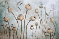 Pelcasa Papaver - 21x30 cm 