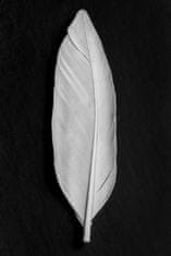 Pelcasa Feather_008 - 50x70 cm 