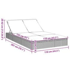 Vidaxl Zahradní lehátko pro 2 osoby s poduškami šedé polyratan