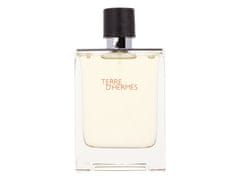 Hermès Hermes - Terre d´Hermes - For Men, 100 ml 