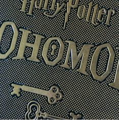CurePink Gumová rohožka Harry Potter: Alohomora (60 x 40 cm) hnědá