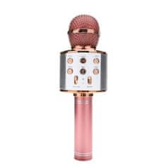 IZMAEL Mikrofon s reproduktorem - Růžová/Zlatá KP31754