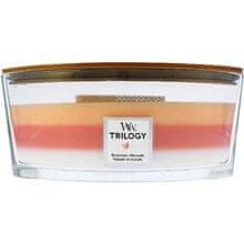 Woodwick WoodWick - Blooming Orchard Trilogy Ship ( Blooming Orchard ) 453.6g 
