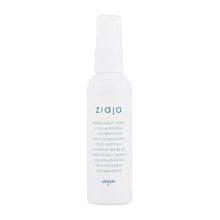 Ziaja Ziaja - Limited Summer Modeling Sea Salt Hair Spray 90ml 