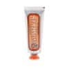 Marvis Marvis Ginger Mint Toothpaste 25ml 