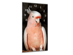 Glasdekor Nástěnné hodiny 30x60cm papoušek kakadu inka - Materiál: plexi