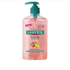 SANYTOL Sanytol Kitchen Hand Soap 250ml 