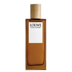 Loewe Loewe Pour Homme Eau De Toilette 50ml Spray 