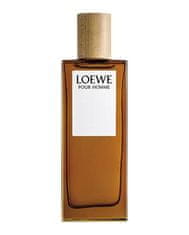 Loewe Loewe Pour Homme Etv 100ml 