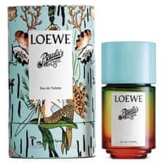 Loewe Loewe Paula's Ibiza Eau De Toilette Spray 100ml 