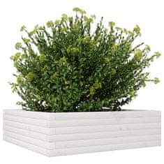 Petromila Zahradní truhlík bílý 80 x 80 x 23 cm masivní borovice