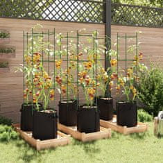 Petromila Podpěrné klece pro rajčata s pytlem 6 ks 154 cm ocel a PP