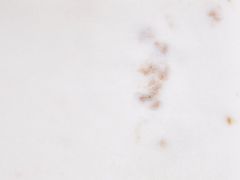 Beliani Mramorový servírovací podnos bílý DIMARI