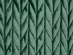 Beliani Sada 2 polštářů Polyester Zelená ECLIPTA