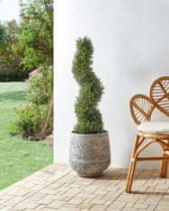 Beliani Umělá rostlina v květináči 98 cm BUXUS SPIRAL TREE