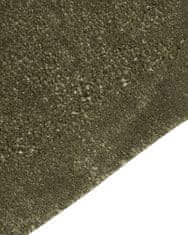 Beliani Viskózový koberec 80 x 250 cm tmavě zelený BERANI
