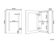 Beliani Koupelnová zrcadlová skříňka s LED osvětlením 40 x 60 cm černá CAMERON