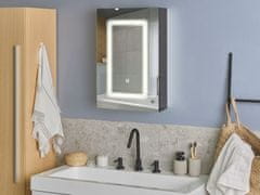 Beliani Koupelnová zrcadlová skříňka s LED osvětlením 40 x 60 cm černá CONDOR