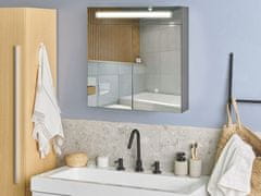 Beliani Koupelnová zrcadlová skříňka s LED osvětlením 60 x 60 cm černá JARAMILLO