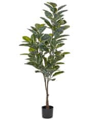 Beliani Umělá rostlina v květináči 160 cm FICUS ELASTICA