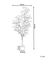 Beliani Umělá rostlina v květináči 160 cm FICUS ELASTICA