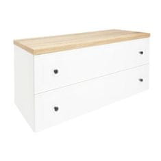 Naturel  Koupelnová skříňka pod desku Forli 120x45x46 cm bílá lesk - FORLI120BIDBEZ