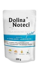 DOLINA NOTECI Dolina Noteci Premium Pes Junior Jehněčí Žaludky Sáček 100G