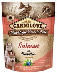 Carnilove Carnilove Dog Salmon & Blueberries For Puppies - Losos A Borůvky Sáček 30