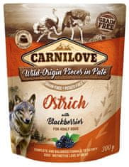 Carnilove Carnilove Dog Ostrich & Blackberries - Pštros A Ostružiny Sáček 300G