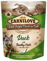 Carnilove Carnilove Dog Duck & Timothy Grass - Kachna A Tymotka Luční Sáček 300G