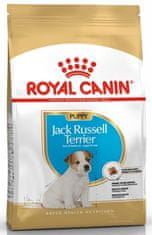 Royal Canin Royal Canin Jack Russell Terrier Puppy Krmivo Suché Pro Štěňata Do 10 Měs