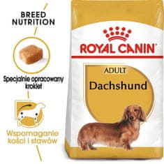 Royal Canin Royal Canin Dachshund Adult Krmivo Suché Pro Dospělé Psy Plemene Jezevčík 1,5K