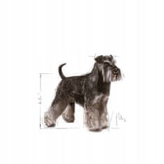 Royal Canin Royal Canin Miniature Schnauzer Adult Krmivo Suché Pro Dospělé Psy Plemene S