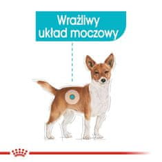 Royal Canin Royal Canin Urinary Care Krmivo Pro Dospělé Psy, Všechna Plemena, Ws