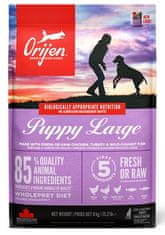 Orijen Orijen Puppy Large Breed 6Kg